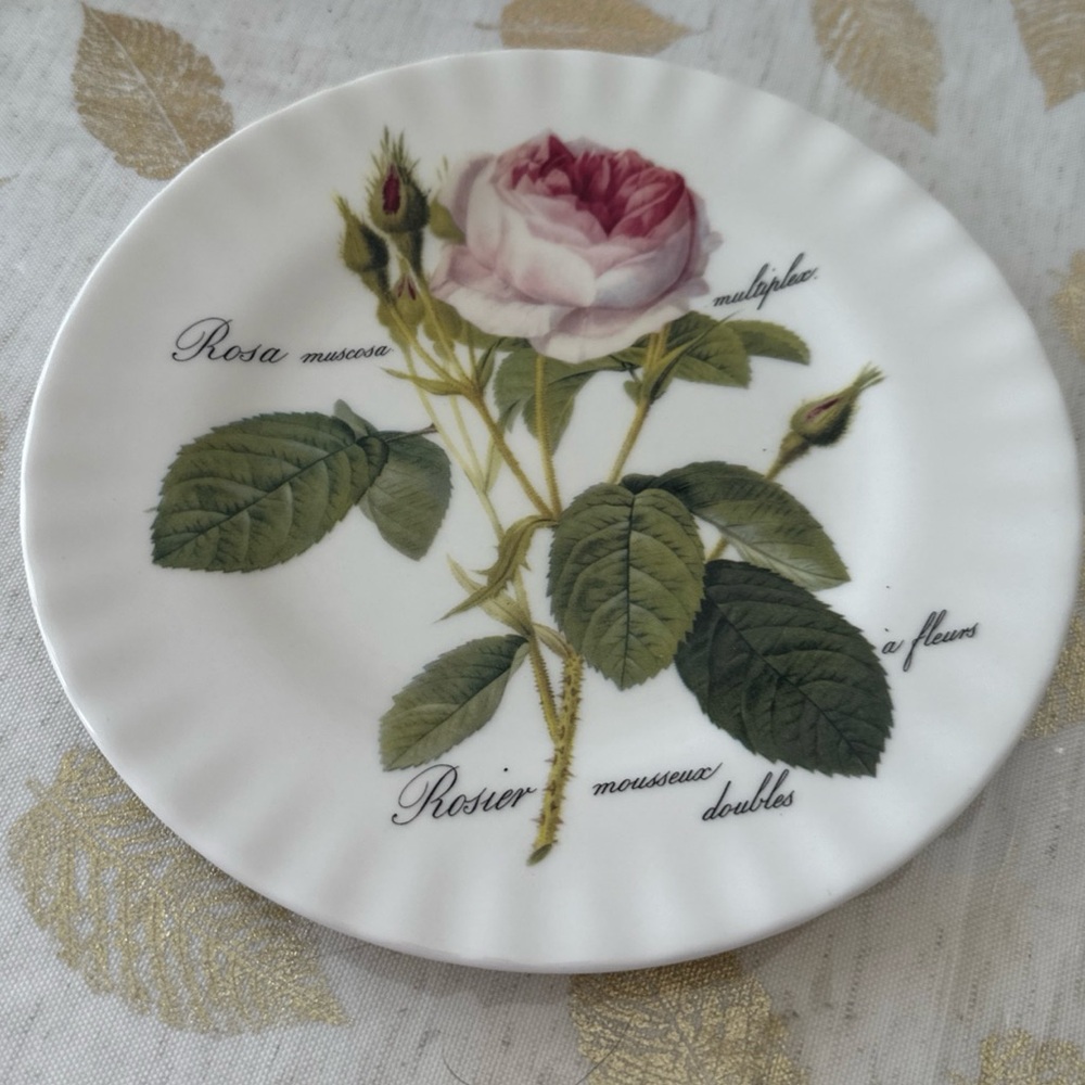 Roy Kirkham Redoute Rose 8 inch plates bone China vintage plate